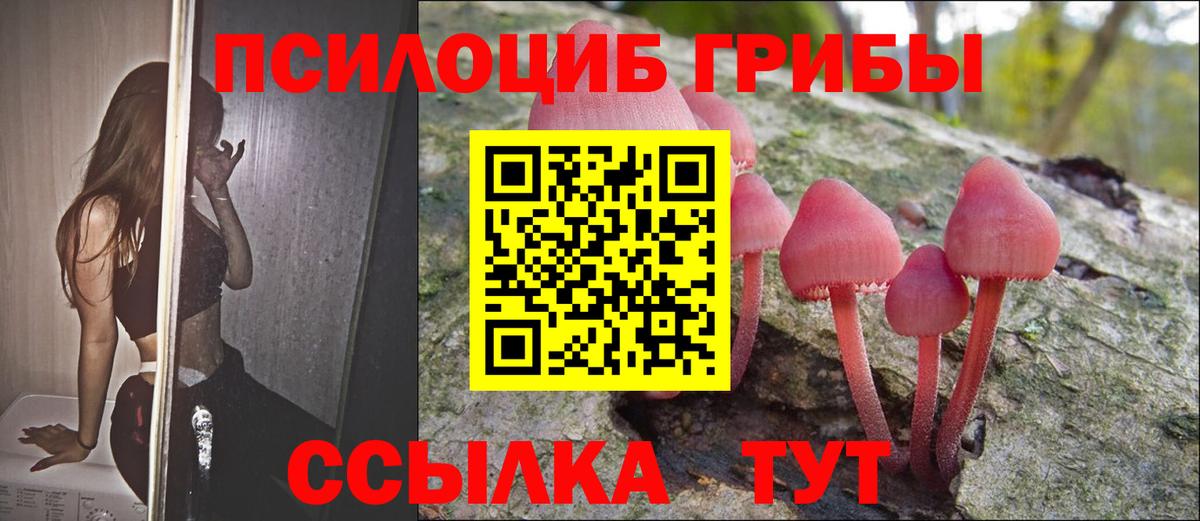Псилоцибиновые грибы мухоморы  Вход с VPN  Волоколамск 